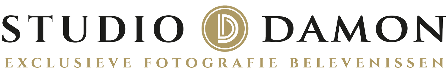 Logo_StudioDamon_png